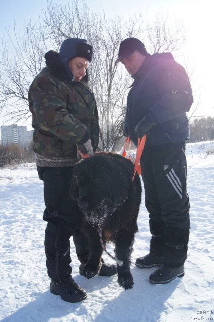 Фотография № 115560