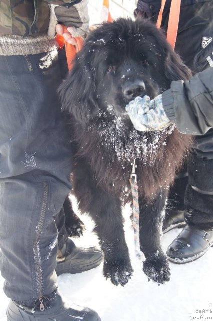 Фотография № 115562