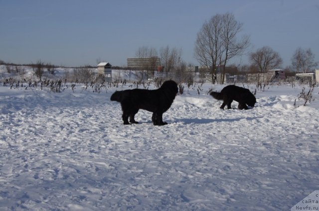 Фотография № 115564