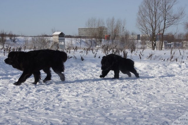 Фотография № 115568