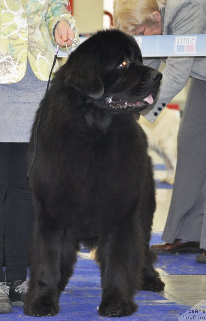 Фотография № 115583