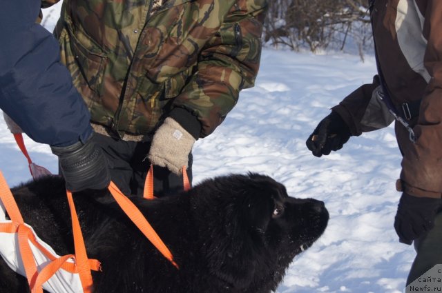 Фотография № 115587