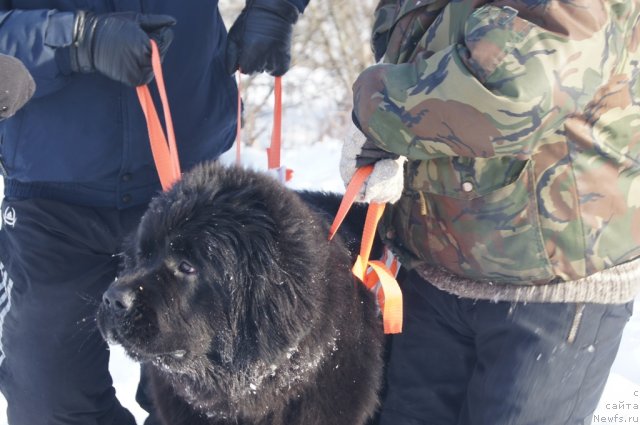 Фотография № 115588