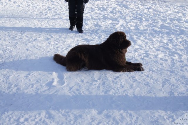 Фотография № 115596