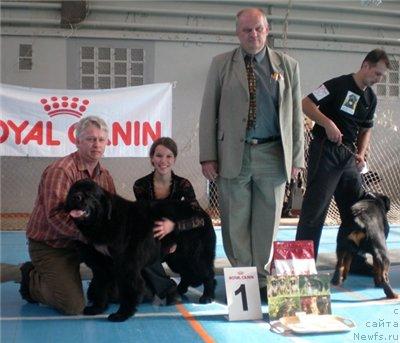 Фотография № 11560