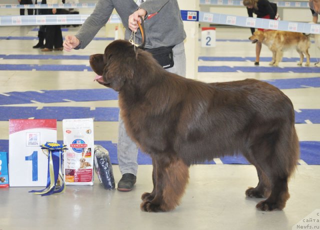 Фотография № 115616