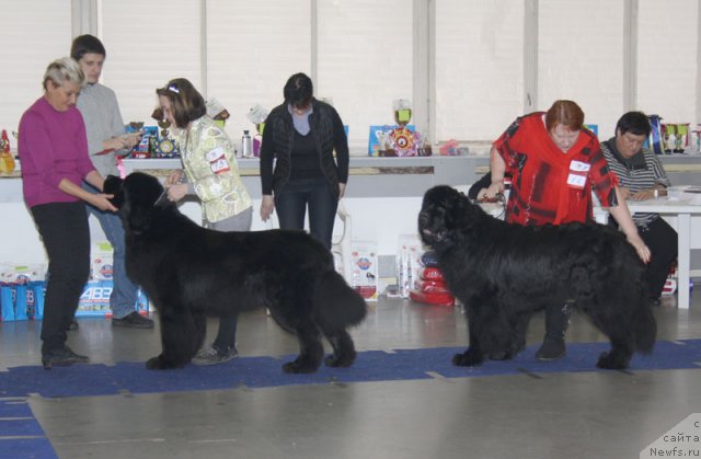 Фотография № 115617