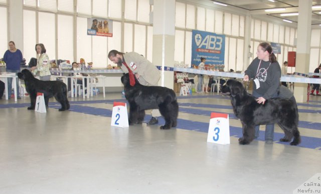 Фотография № 115619