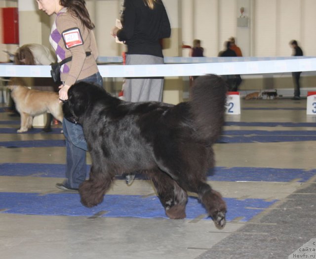 Фотография № 115621