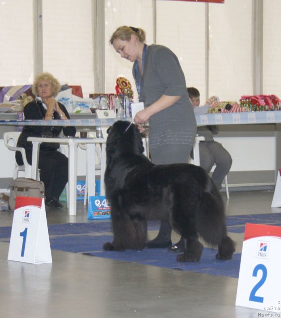 Фотография № 115622