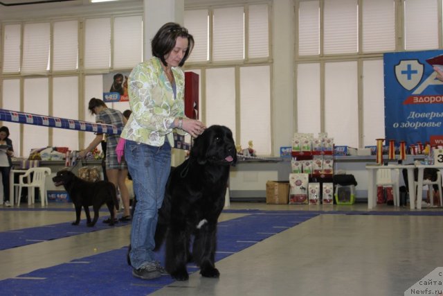 Фотография № 115625