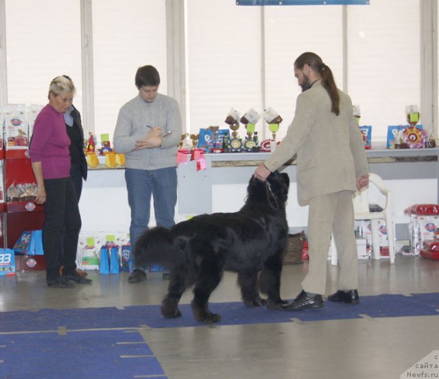 Фотография № 115635