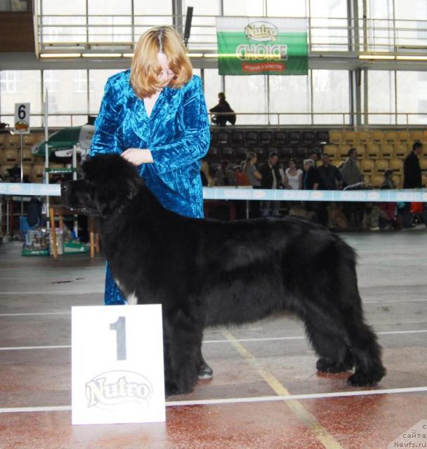 Фотография № 11564