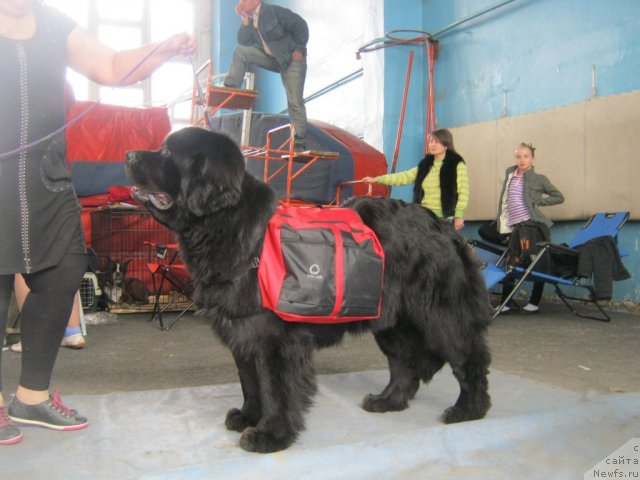 Фотография № 115640