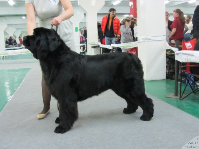 Фотография № 115647