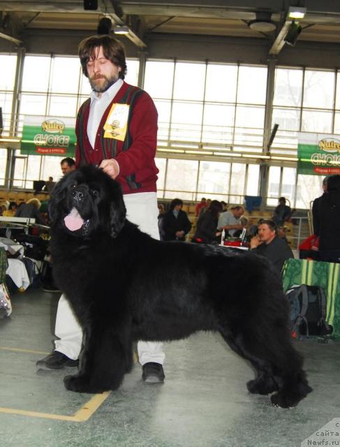 Фотография № 11565