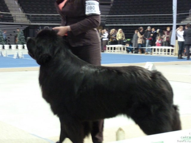 Фотография № 115657