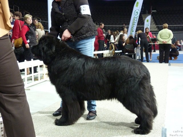 Фотография № 115658