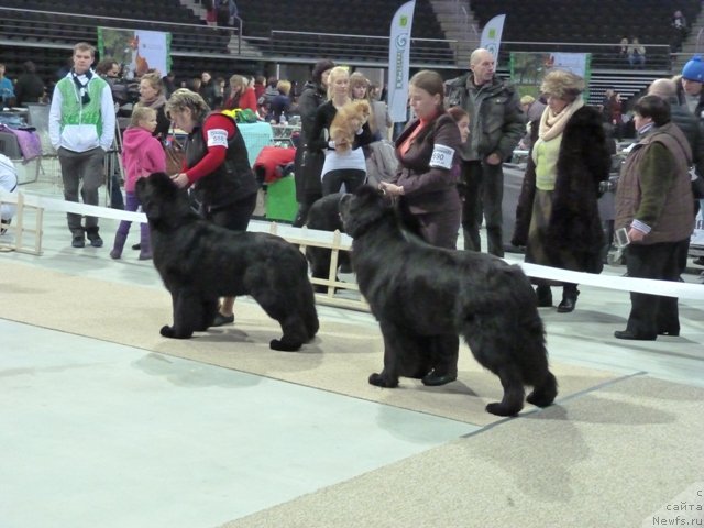 Фотография № 115659