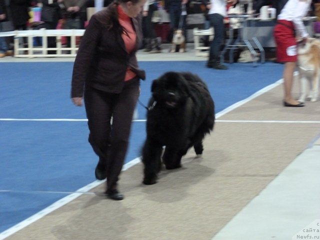 Фотография № 115660