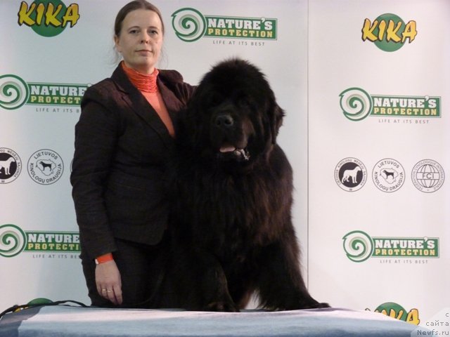 Фотография № 115664