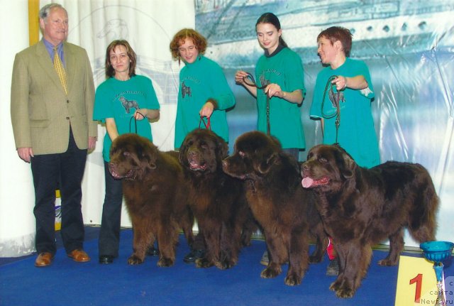 Фото: ньюфаундленд Смигар Свен Браун (Smigar Sven Brown), Ольга Королева, ньюфаундленд Смигар Афанасий (Smigar Afanasiy), Любовь Жакова, ньюфаундленд Смигар Назарет (Smigar Nazareth), Наталья Иванова, ньюфаундленд Смигар Олимпиада (Smigar Olimpiada), Татьяна Яковлева