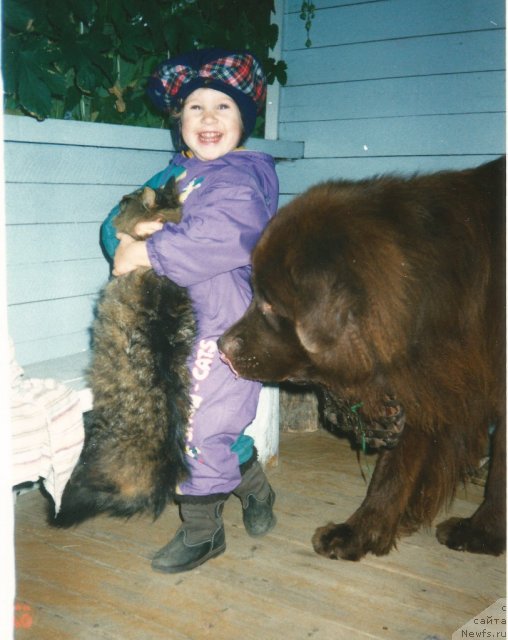 Фотография № 115671