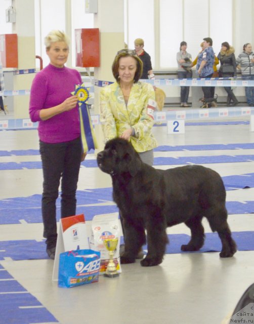 Фотография № 115704