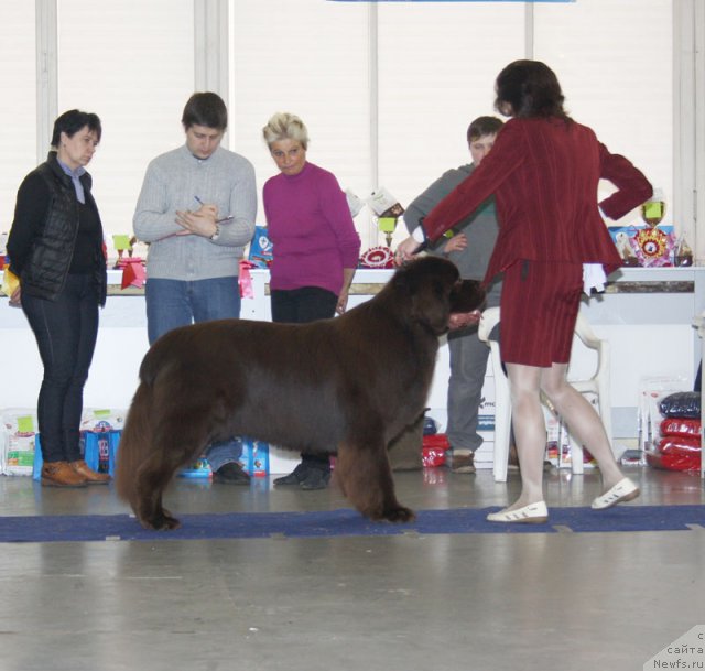 Фотография № 115705