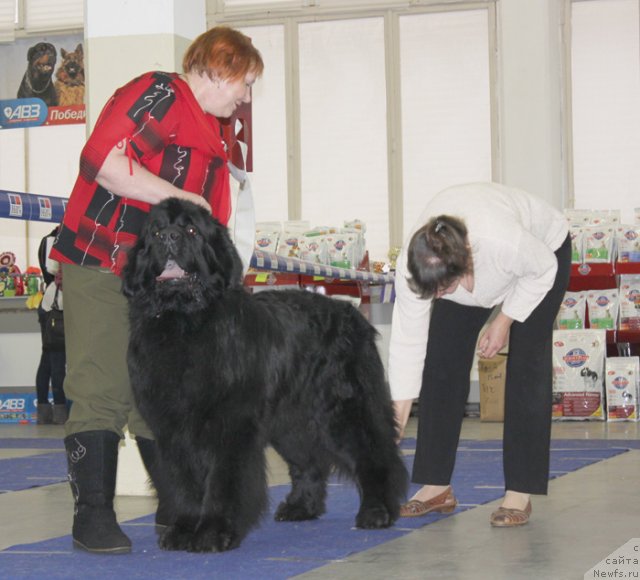 Фотография № 115708