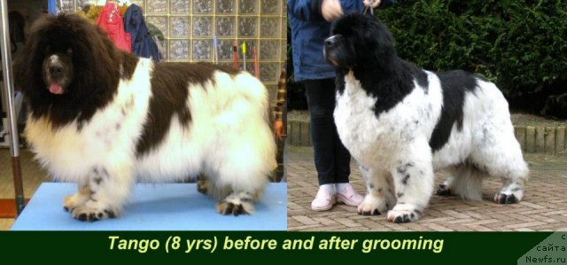 Фотография № 115720