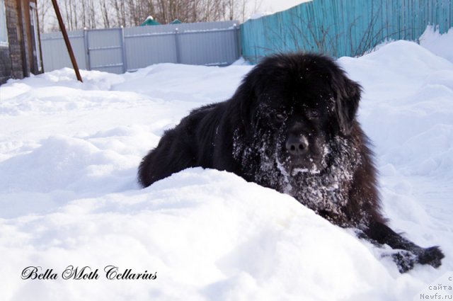 Фотография № 115741