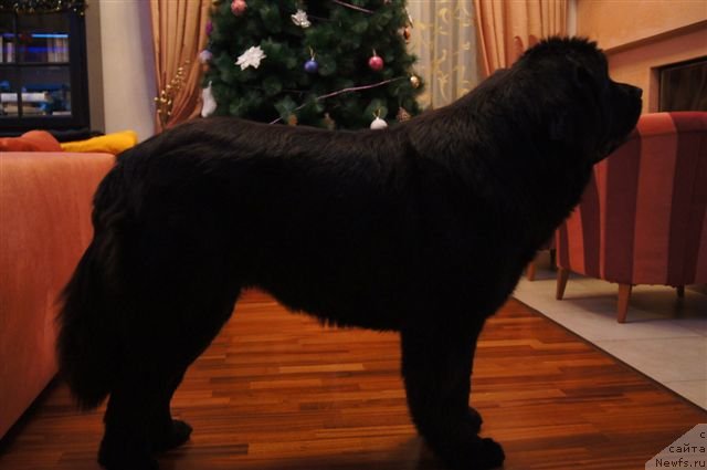 Фотография № 115742