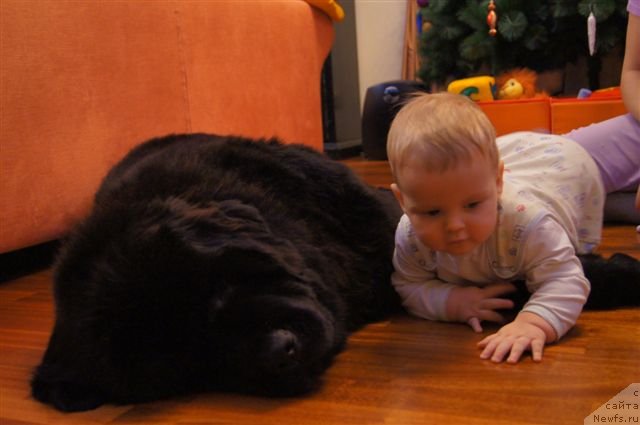 Фотография № 115746