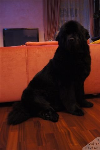 Фотография № 115747