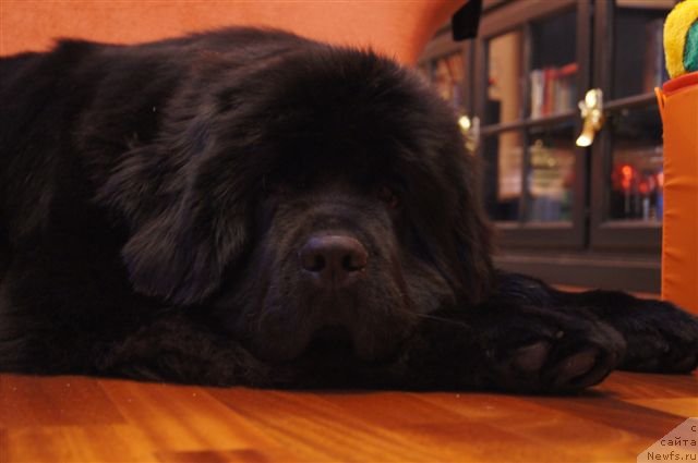 Фотография № 115748