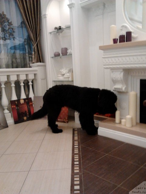 Фотография № 115757