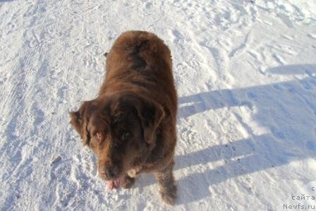 Фотография № 115789