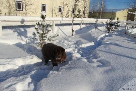 Фотография № 115790