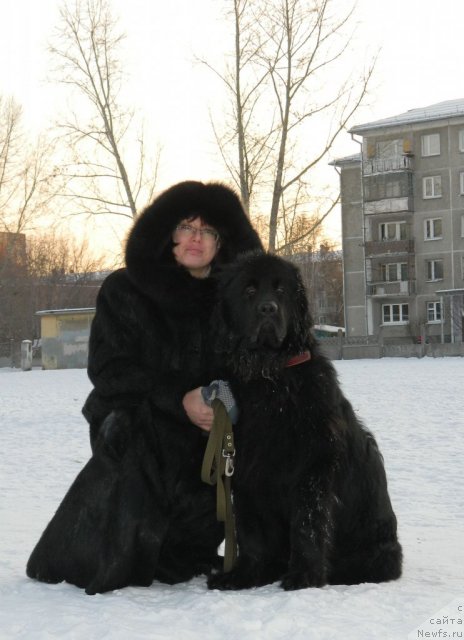 Фотография № 115812