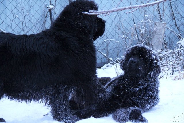 Фотография № 115827