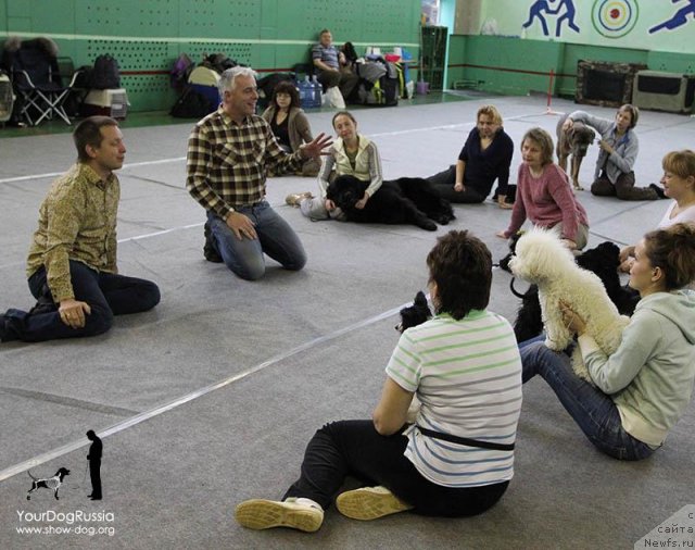 Фотография № 115915