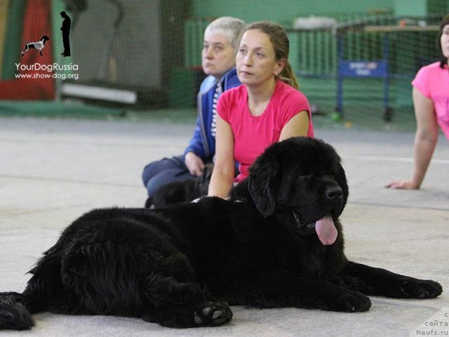 Фотография № 115916