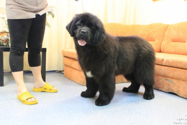 Фотография № 115959