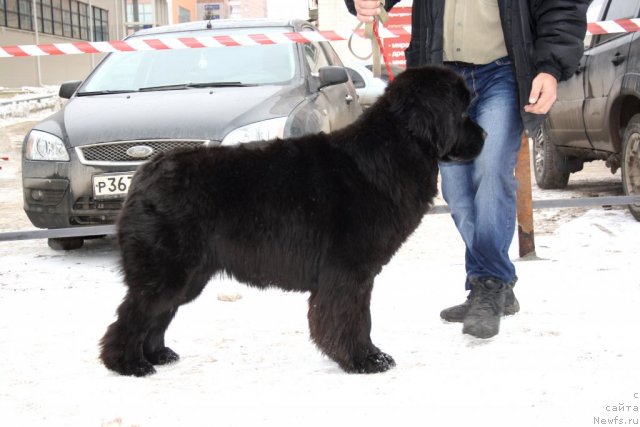 Фотография № 115969