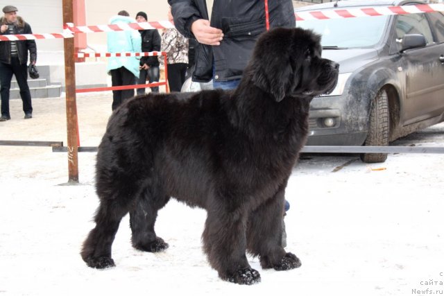 Фотография № 115970