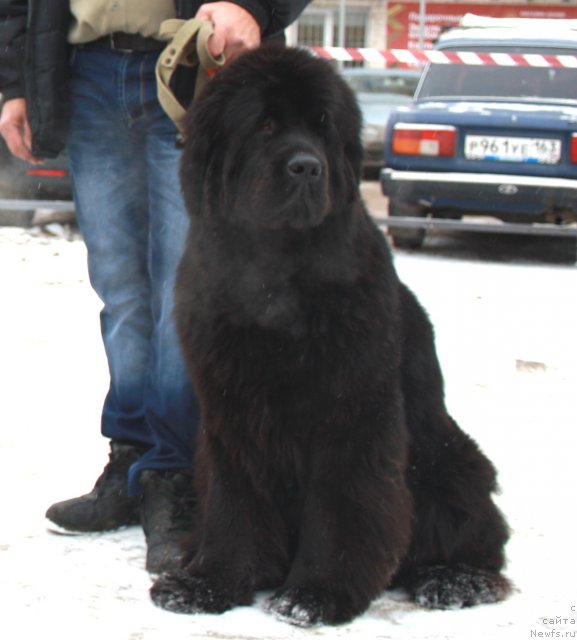 Фотография № 115971