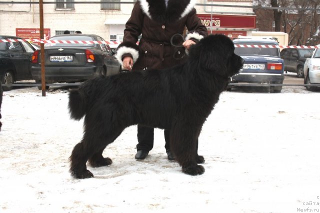 Фотография № 115973