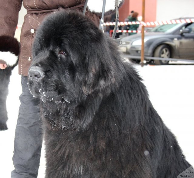 Фотография № 115974