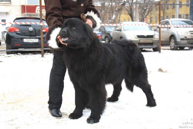 Фотография № 115975